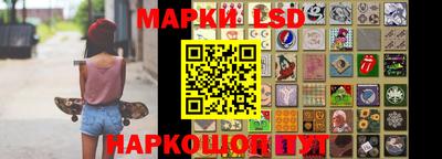 крисы Кинель