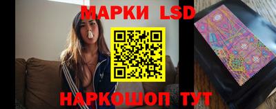 гидропоника Кингисепп