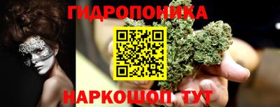 гидропоника Кингисепп