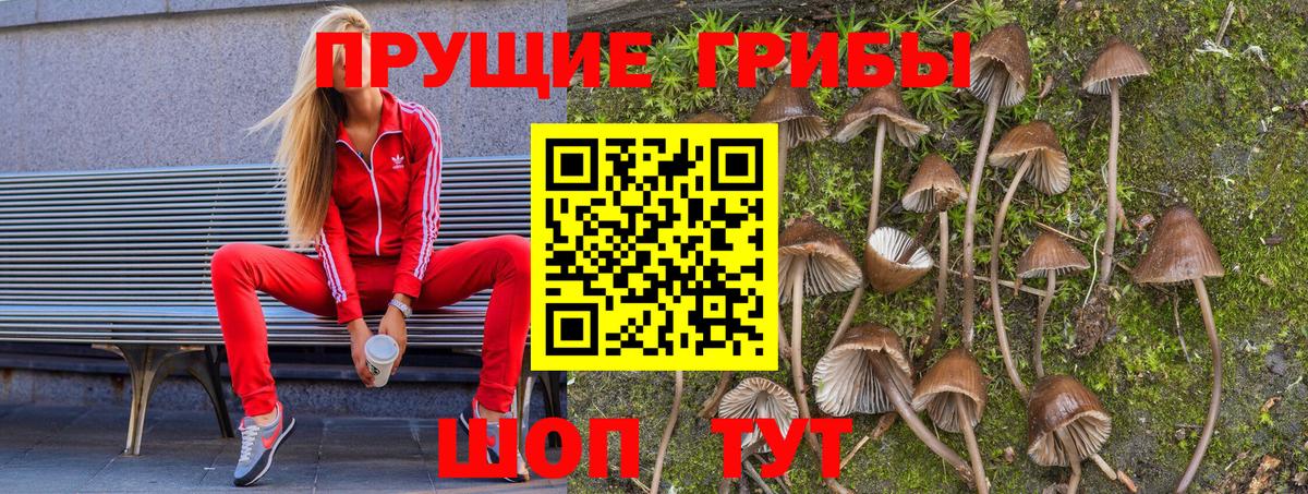 Псилоцибиновые грибы Psilocybine cubensis  Вход с VPN  Солнечногорск 