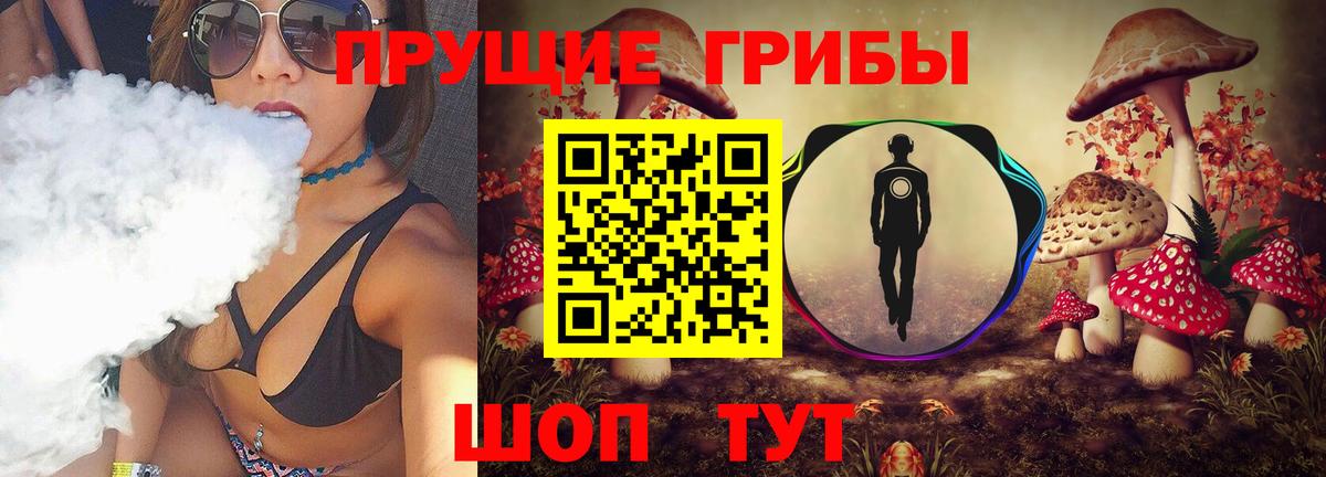 Галлюциногенные грибы Cubensis Солнечногорск